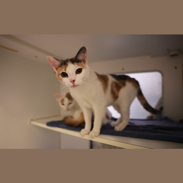 Photo of Catelyn