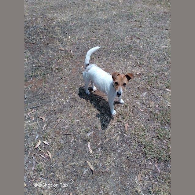 Photo of Maxi
