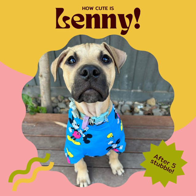 Photo of Lenny ✌️😎