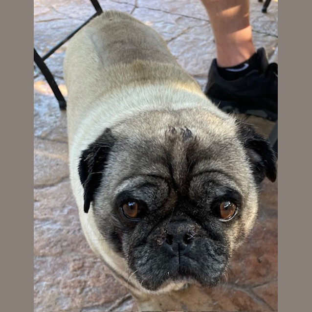 Photo of Podge And Spud