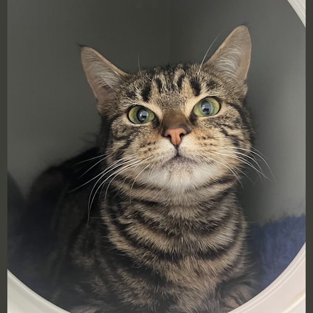 Photo of Fizz