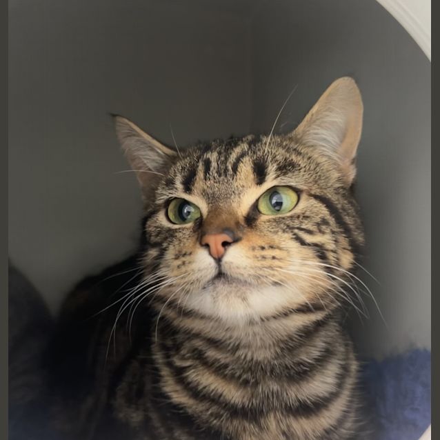 Photo of Fizz