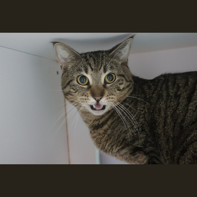 Photo of Doug