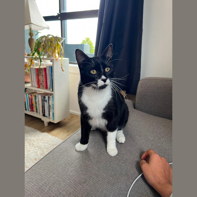 Photo of Timmy 🖤🤍