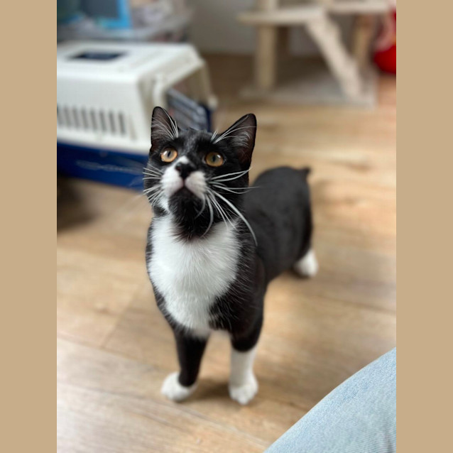 Photo of Timmy 🖤🤍