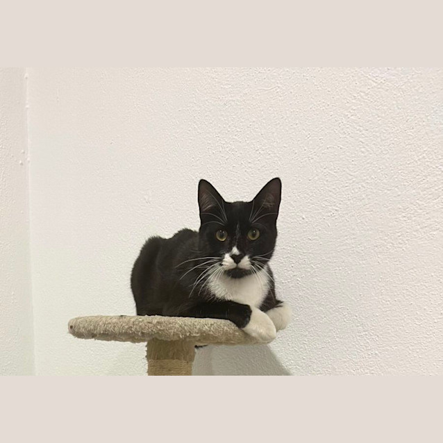 Photo of Timmy 🖤🤍