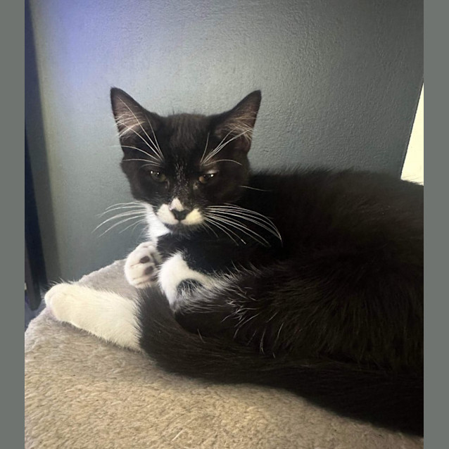 Photo of Timmy 🖤🤍