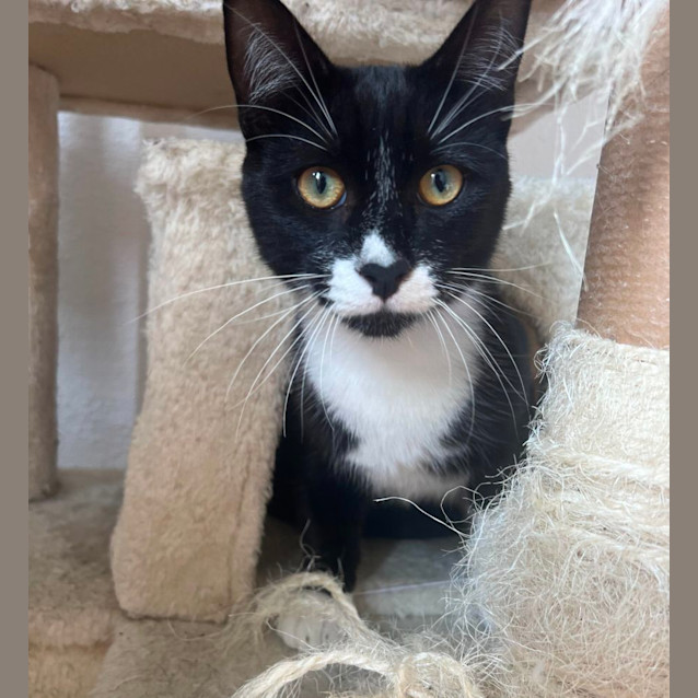 Photo of Timmy 🖤🤍