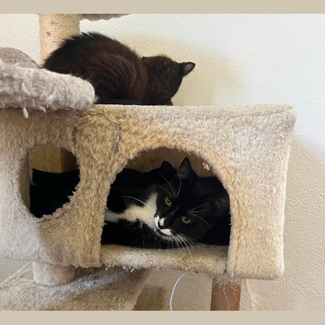 Photo of Timmy 🖤🤍