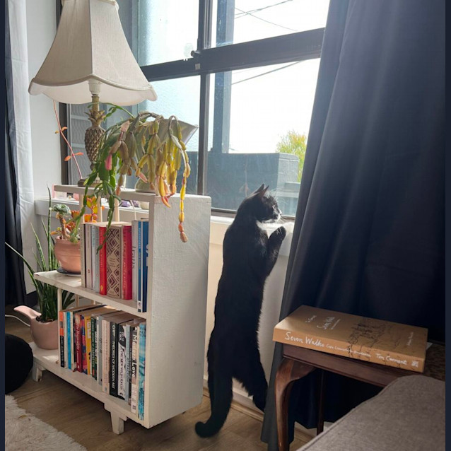 Photo of Timmy 🖤🤍