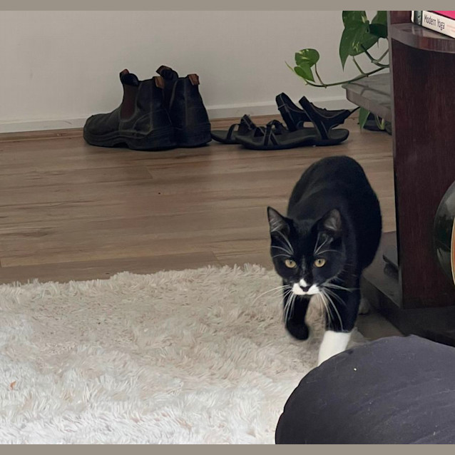 Photo of Timmy 🖤🤍