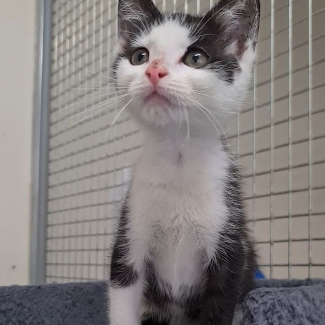 Photo of Jack Meower