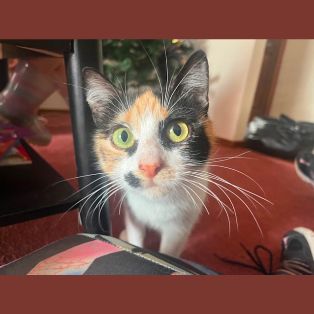 Photo of Marble