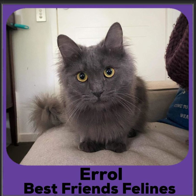 Photo of Errol