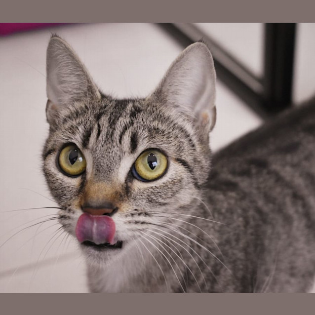 Photo of Jelly