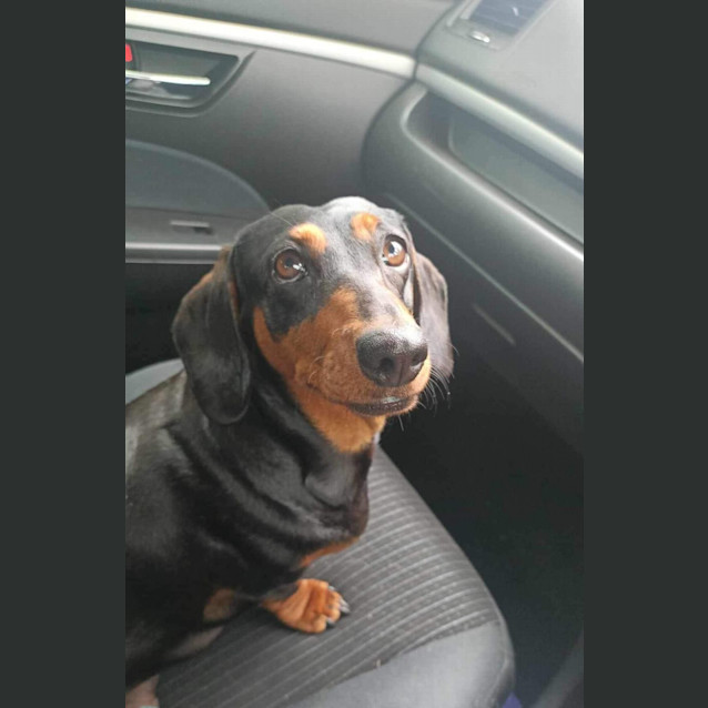 Photo of Mumma Margo 