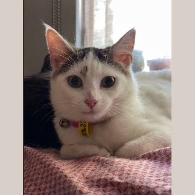 Photo of Evie