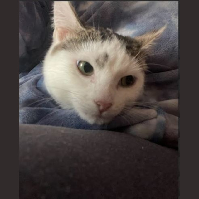 Photo of Evie