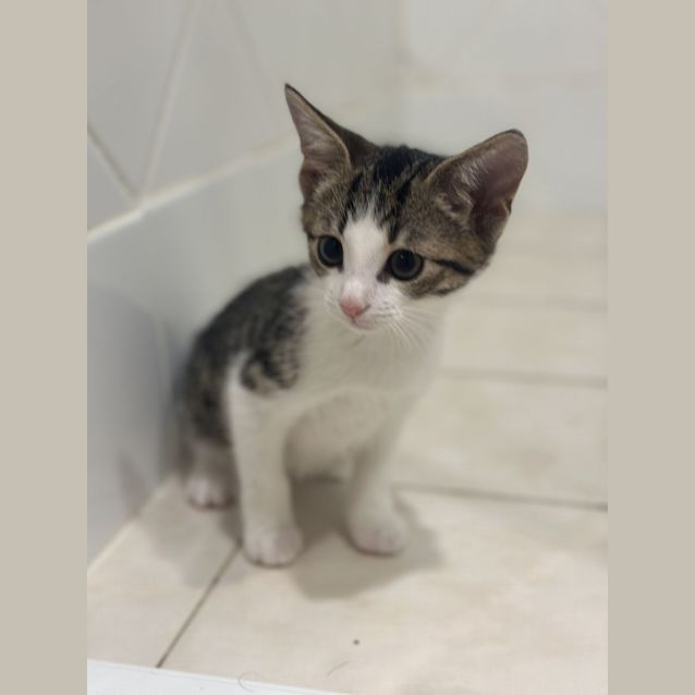 Photo of Tiny & Spice