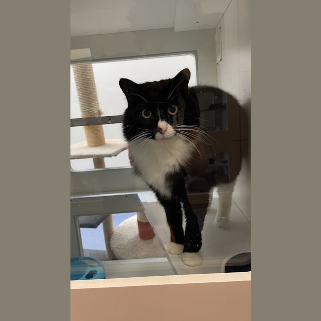 Photo of Fifi