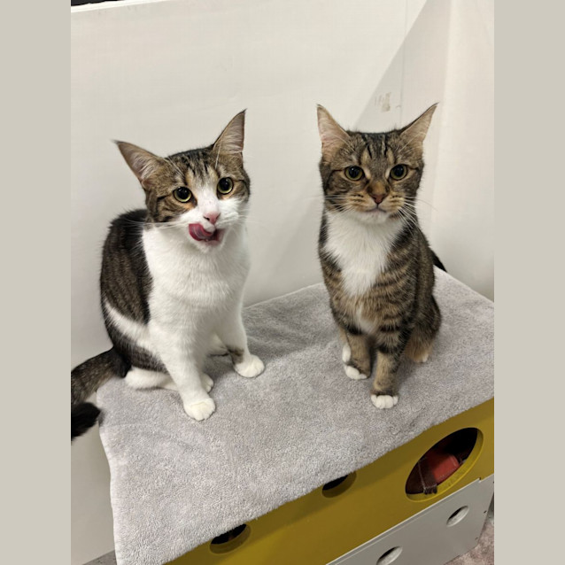 Photo of Hilda & Zelda