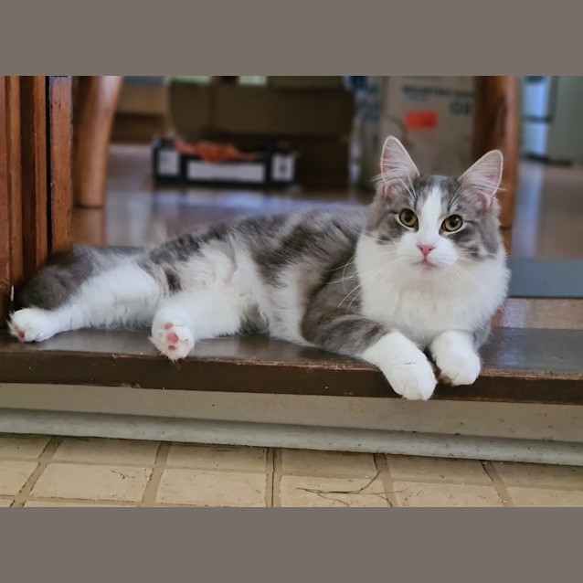 Photo of Rogue