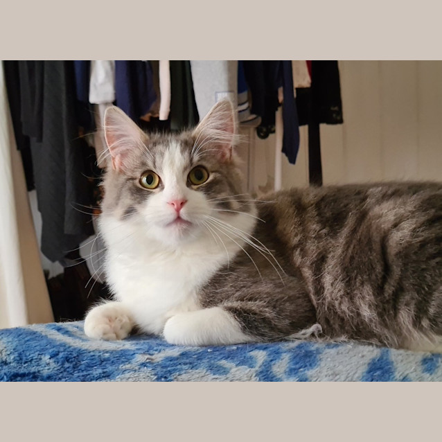 Photo of Rogue