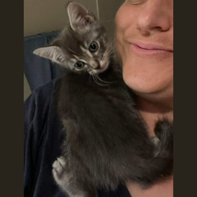 Photo of Diesel 