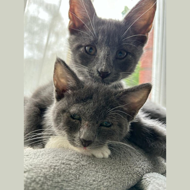 Photo of Smokey And Misty