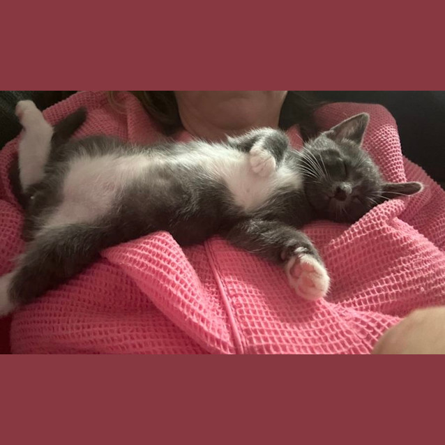 Photo of Smokey And Misty