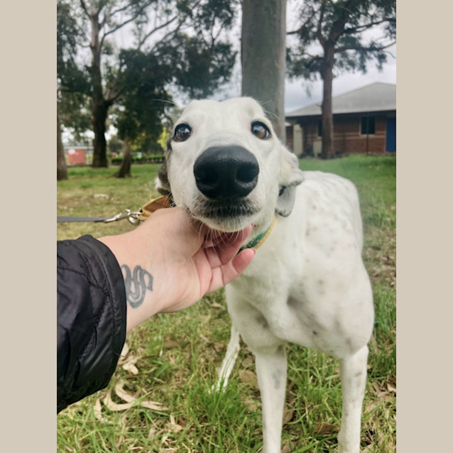Photo of Molly