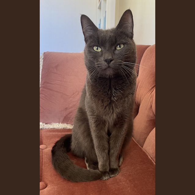 Photo of Indi