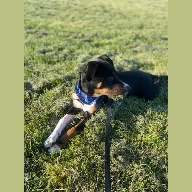 Photo of Kubo 