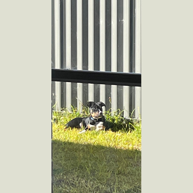 Photo of Kubo 