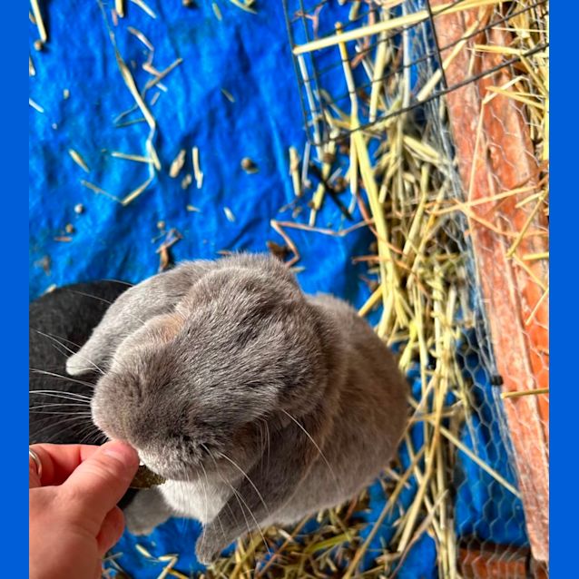 Photo of Nova And Chai 