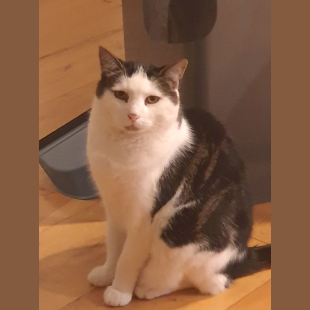 Photo of Walter And Jinx