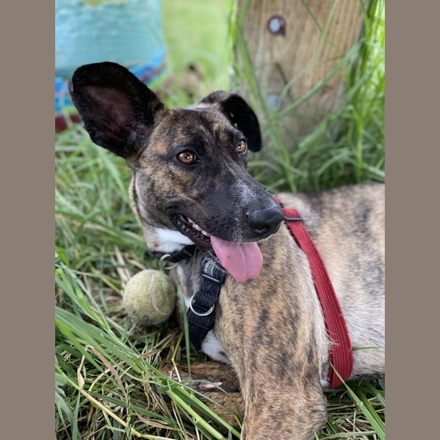 Photo of Lilah