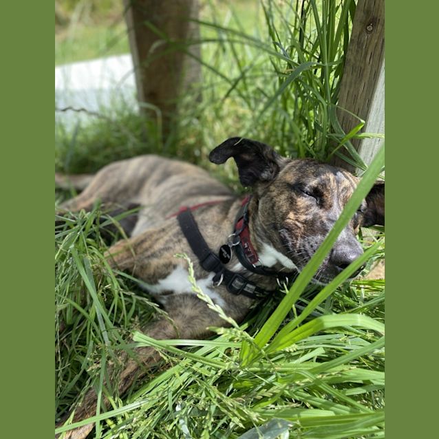 Photo of Lilah