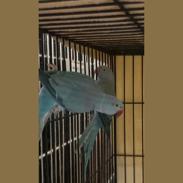 Photo of Stella And Stan