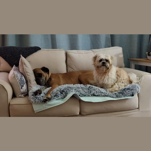 Photo of Zoe And Murphy Applegate