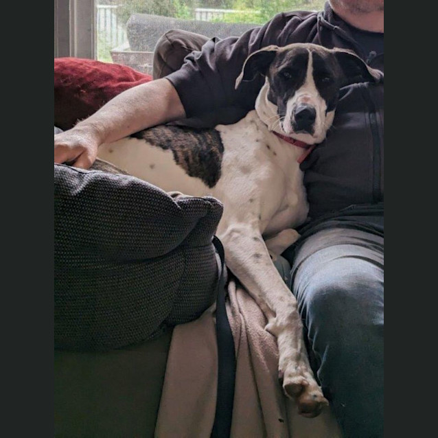 Photo of May Applegate