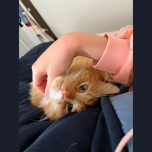 Photo of 🎃 Pumpkin 🎃