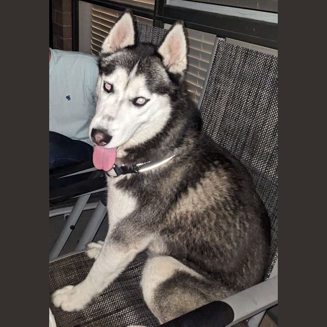 Photo of Trojan