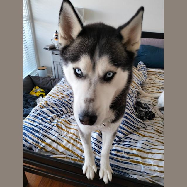 Photo of Trojan