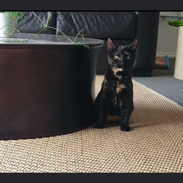 Photo of Annii & Daisey 🌺🌼