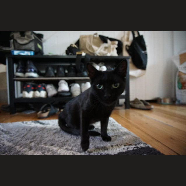 Photo of Allegra 🌹