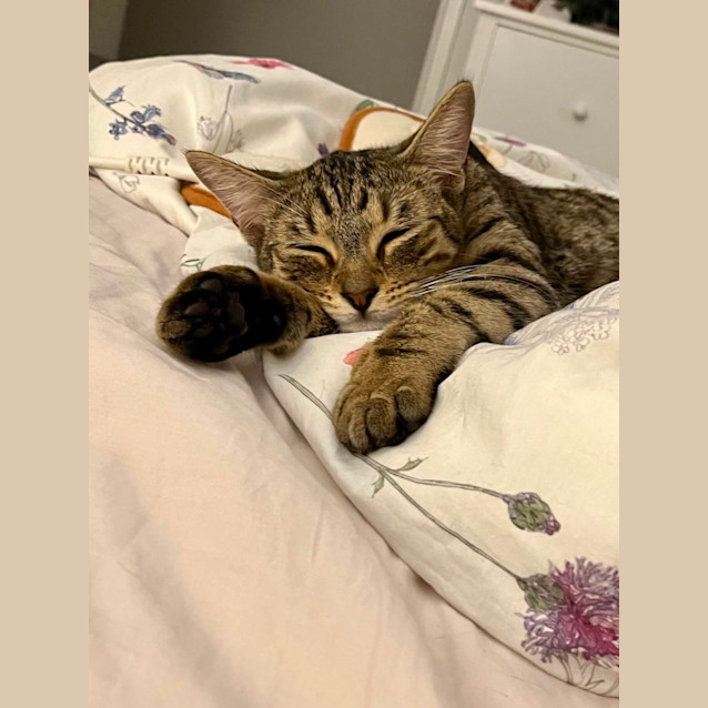 Photo of Minnie