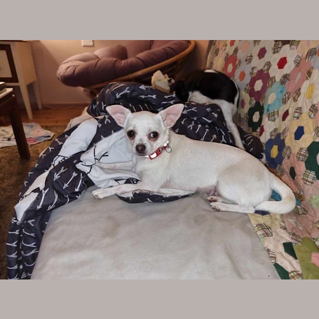 Photo of Tequila