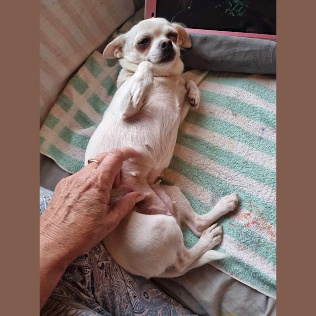 Photo of Tequila