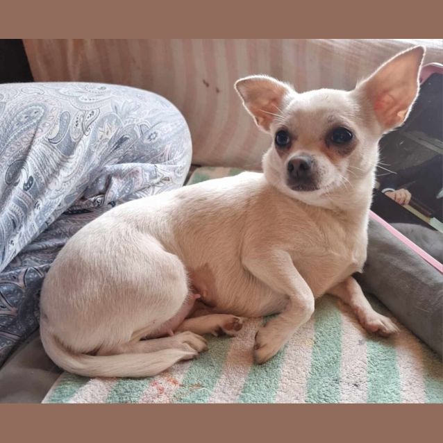 Photo of Tequila
